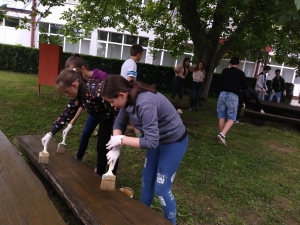 Školska volonterska akcija - OŠ Nikole Andrića Vukovar (11)