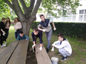 Školska volonterska akcija - OŠ Nikole Andrića Vukovar (7)