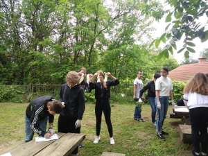 Školska volonterska akcija - OŠ Nikole Andrića Vukovar (8)