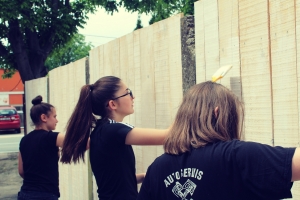 Školska volonterska akcija - OŠ Nikole Tesle Mirkovci (16)