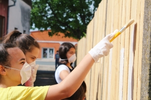 Školska volonterska akcija - OŠ Nikole Tesle Mirkovci (9)