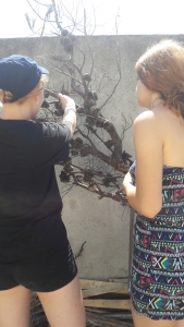 OEL - Croatia follow up (1)