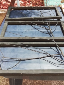 OEL - Croatia follow up (16)