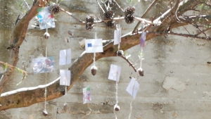 OEL - Croatia follow up (17)