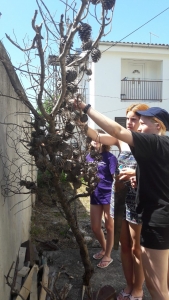 OEL - Croatia follow up (2)