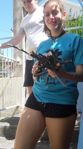 OEL - Croatia follow up (8)