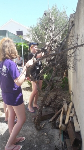 OEL - Croatia follow up (9)